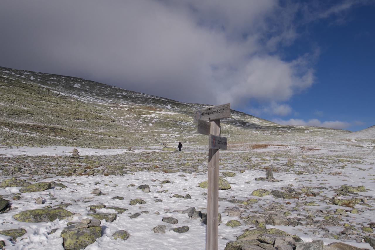 Rondane Fjellstue Vandrarhem Mysusæter Exteriör bild