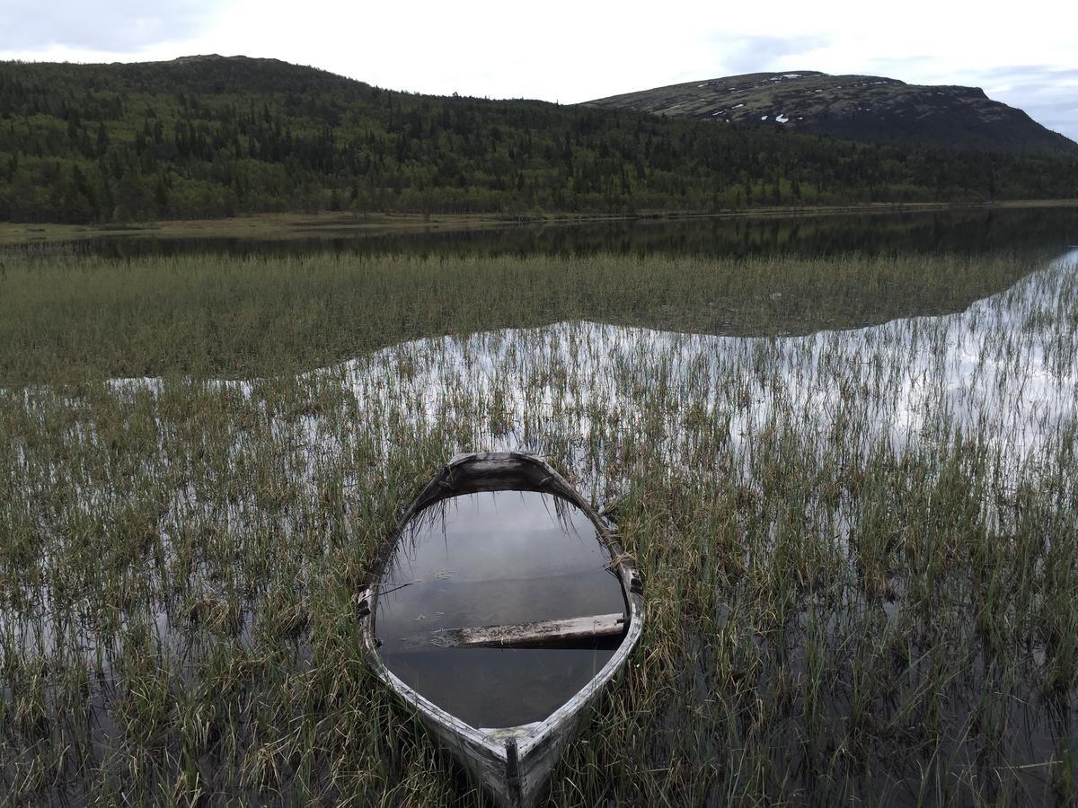 Rondane Fjellstue Vandrarhem Mysusæter Exteriör bild