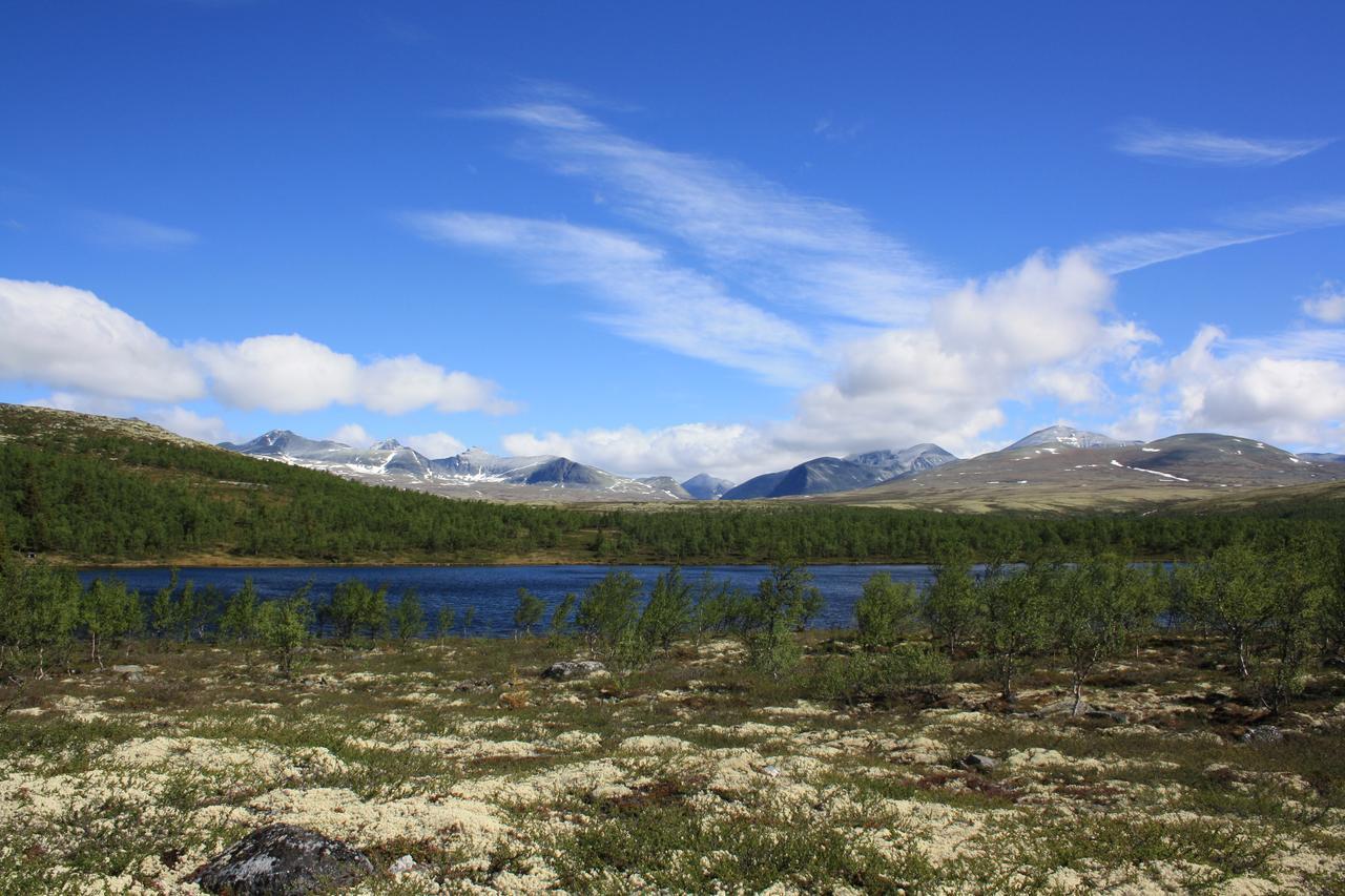 Rondane Fjellstue Vandrarhem Mysusæter Exteriör bild